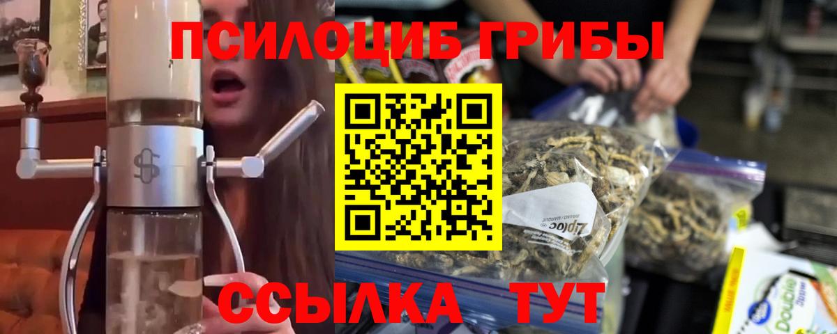 Псилоцибиновые грибы Cubensis Владимир